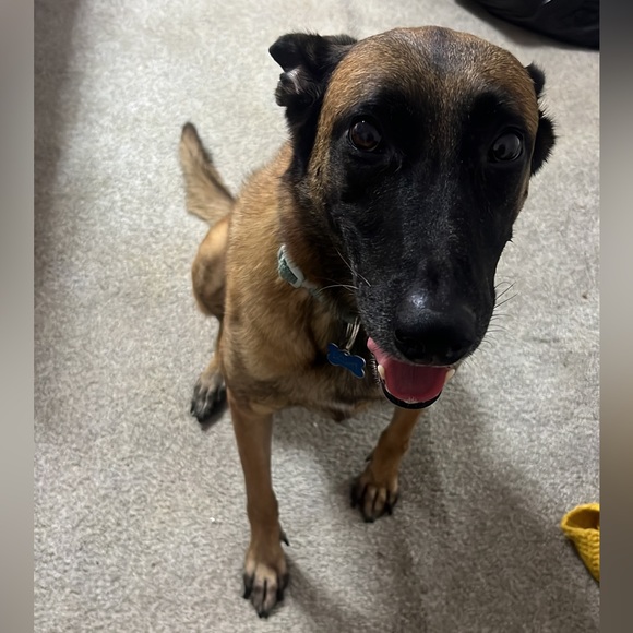 Kirsten is LIVE🌸 Like to be notified when I go live! ✨ - Picture 6 of 15